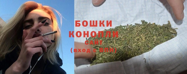 ешки Медногорск
