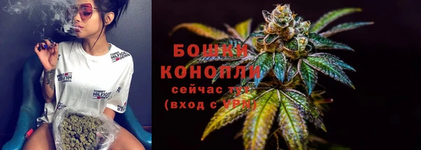 дживик Медвежьегорск