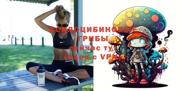 дживик Медвежьегорск