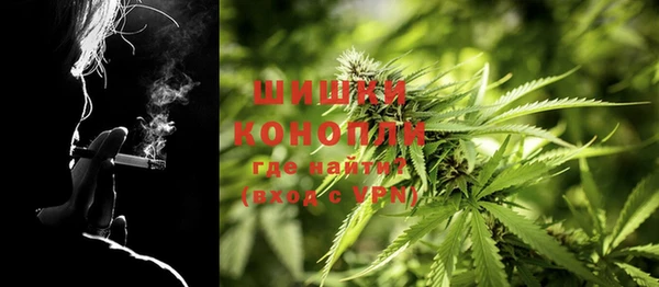 дживик Медвежьегорск