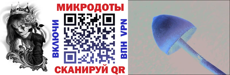 Псилоцибиновые грибы прущие грибы  Нижневартовск 